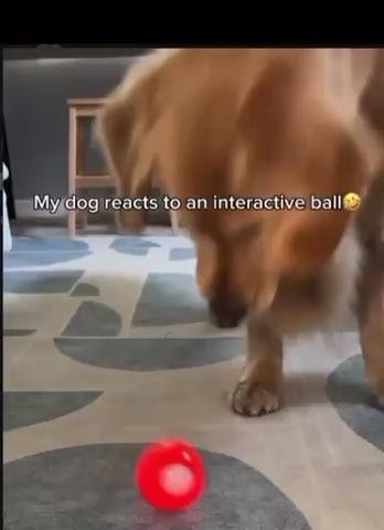 Interactive Pet Toy Ball - Rechargeable, Bite Resistant, Automatic Smart Bouncing Balls